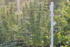 IMG_20210906_182215009-scaled