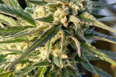 IMG_20210906_182436626_HDR-scaled